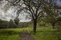 Hiking trail in the California hills in early spring