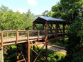 Hiking Trail Canopy Bridge in Tallahassee Florida