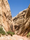 Hiking trail in Capitol Reef National Park, Utah, United States Royalty Free Stock Photo