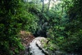 Hiking trail into cave. Royalty Free Stock Photo