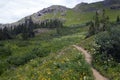 Hiking trail in Colorado Rocky Mountains