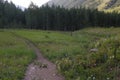 Hiking trail in Colorado Rocky Mountains Royalty Free Stock Photo