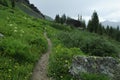 Hiking trail in Colorado Rocky Mountains Royalty Free Stock Photo