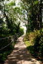 Hiking trail covered with green foliage. Nature path outdoor Royalty Free Stock Photo