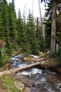 Hiking trail crossing mountain creek Royalty Free Stock Photo