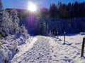 Hiking trail in deep snow-covered mountainous region by dazzling sun Royalty Free Stock Photo