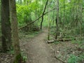 Hiking Trail in Delaware County Royalty Free Stock Photo