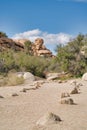Hiking trail in the desert with huge rocks at Joshua Tree National Park USA Royalty Free Stock Photo