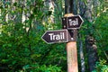 A hiking trail direction sign in the forest Royalty Free Stock Photo