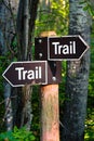 A hiking trail direction sign in the forest Royalty Free Stock Photo
