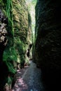 Hiking Trail through the Dragon Gorge at the foot of the Wartburg
