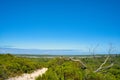 Hiking trail in the dunes of Yalgorup, Western Australia