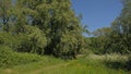 Durmmeersen nature reserve in spring. Ghent, Flanders, Belgium