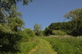 Durmmeersen nature reserve in spring. Ghent, Flanders, Belgium