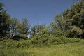 Durmmeersen nature reserve in spring. Ghent, Flanders, Belgium