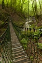 On the Hiking Trail Eifelsteig