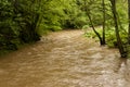 On the Hiking Trail Eifelsteig Royalty Free Stock Photo