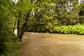 On the Hiking Trail Eifelsteig Royalty Free Stock Photo