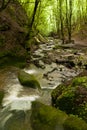 On the Hiking Trail Eifelsteig Royalty Free Stock Photo