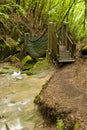 On the Hiking Trail Eifelsteig Royalty Free Stock Photo