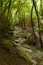 On the Hiking Trail Eifelsteig