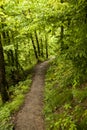 On the Hiking Trail Eifelsteig Royalty Free Stock Photo