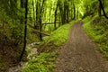 On the Hiking Trail Eifelsteig Royalty Free Stock Photo