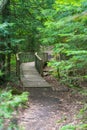 Hiking trail through Estivant Pines a Nature Sanctuary of old growth pine trees