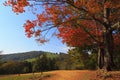 Hiking Trail in the Fall Royalty Free Stock Photo