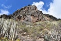 Hiking trail at the famous canyon Barranco del Infierno in Adeje in the South of Tenerife with many cacti in front