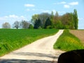 Hiking trail between the fields