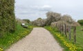 Hiking trail with flowering meadows and a white bench on the Holnis Peninsula