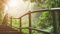 Hiking trail through the foggy jungle with sunlight commming through Royalty Free Stock Photo