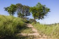 Hiking Trail Foot Path Royalty Free Stock Photo