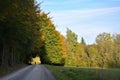 Hiking trail at the forest, autumn with blue sky and  meadow Royalty Free Stock Photo