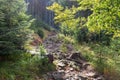 Hiking trail in a forest near Barania Gora Mountain in Beskid Slaski in Poland Royalty Free Stock Photo