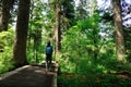 Hiking at trail in froest Royalty Free Stock Photo