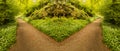 Hiking trail going into bright woods Royalty Free Stock Photo