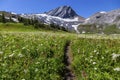 Hiking Trail Green Alpine Meadow Summertime Wildflowers Kananaskis Country Rocky Mountain Peak Alberta Canada Royalty Free Stock Photo