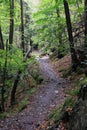 Hiking trail `Harzer Hexenstieg` in Harz mountains Royalty Free Stock Photo