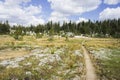 Hiking trail heading into a forest