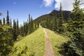 Hiking trail heads up a steep mountain ridge