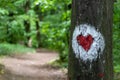Hiking trail heart shape sign on the tree in national park Fruska gora in Serbia Royalty Free Stock Photo