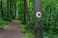 Hiking trail heart shape sign on the tree in national park Fruska gora in Serbia Royalty Free Stock Photo