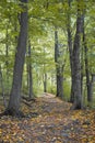 Hiking Trail at High Cliff State Park, Sherwood, Wisconsin