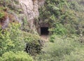 Historic tunnel hidden in dense woods at Partington Cove trail, Big Sur, CA.