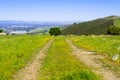 Hiking trail on the hills covered in green grass and wildflowers of south San Francisco bay area, Santa Clara county; San Jose in Royalty Free Stock Photo