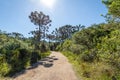 Hiking Trail of Itaimbezinho Canyon at Aparados da Serra National Park - Cambara do Sul, Rio Grande do Sul, Brazil