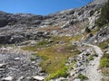 Hiking trail in Kings Canyon National Park Royalty Free Stock Photo