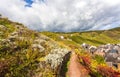 Hiking trail Landscape at the Moselle near Uerzig in autumn Royalty Free Stock Photo